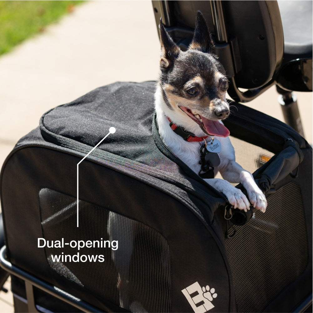 Small Pet Carrier
