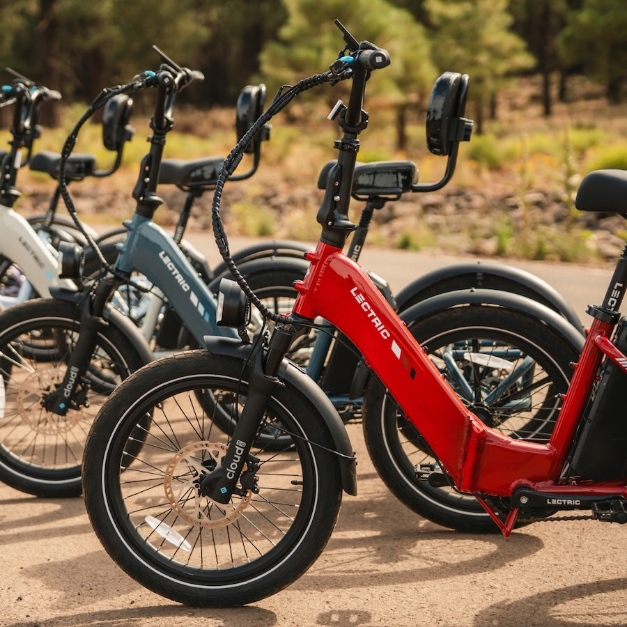 lectric ebike detail