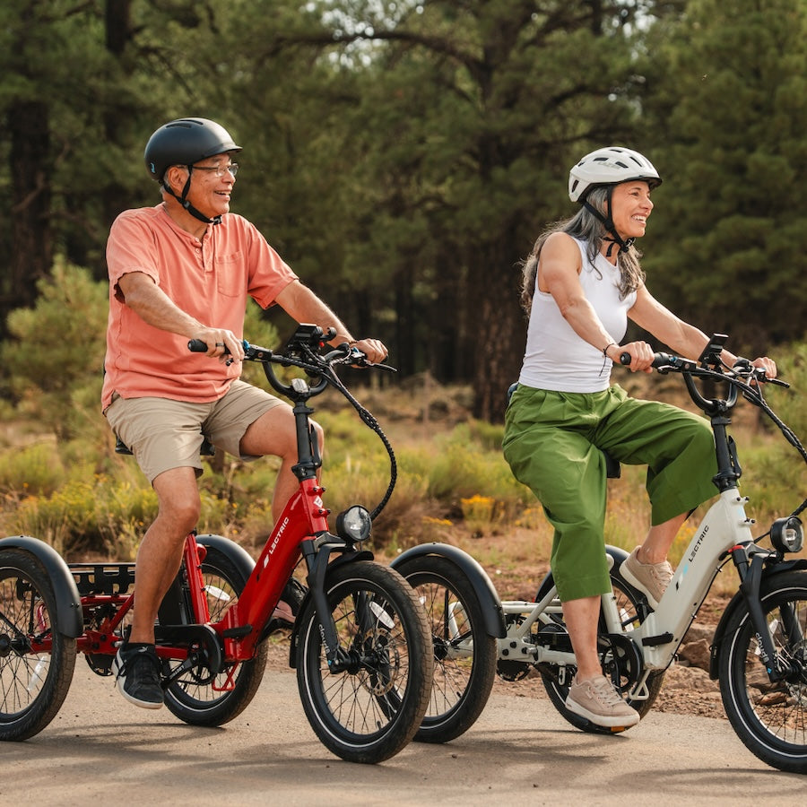 lectric ebike detail