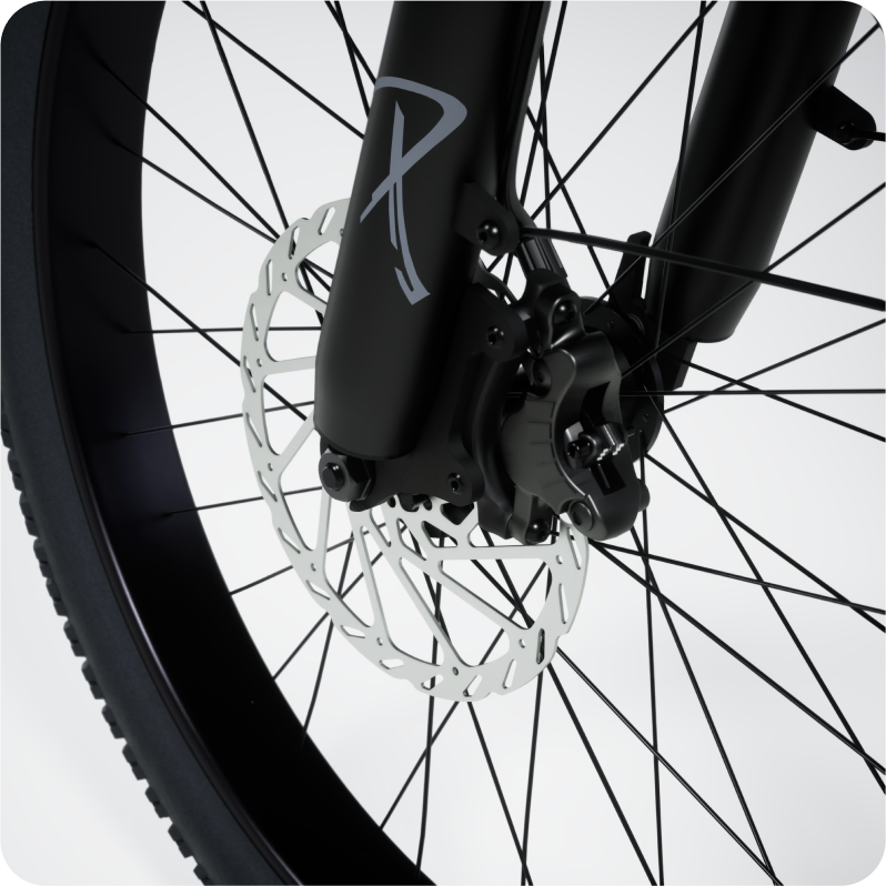lectric ebike internal battery